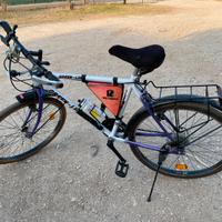 Bicicletta Green Line