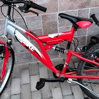 biciclette varie dimensioni per piccoli e grandi 