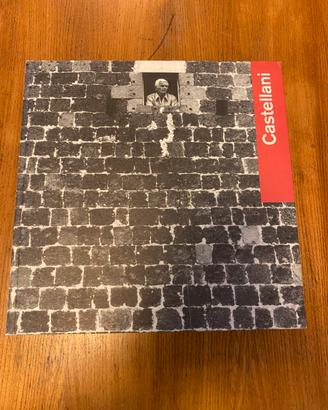 Libro Enrico Castellani