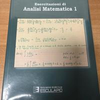 Esercitazioni di Analisi Matematica 1 Bramanti