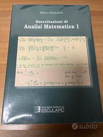 Esercitazioni di Analisi Matematica 1 Bramanti