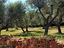 Immagine 6