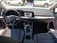 Immagine 12
