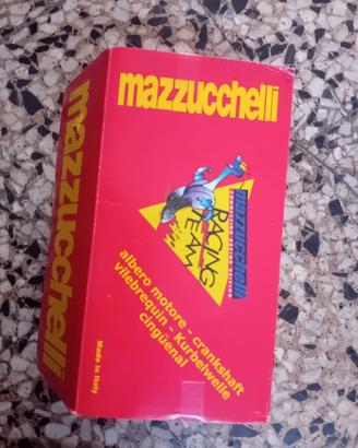 Kit polini 130 + albero motore marzucchelli