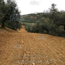 Terreno Agricolo Pianella [A4344719]