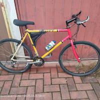 Mountain bike 