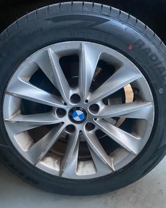 Pneumatico Minerva Radial F205 18” (pari al nuovo)