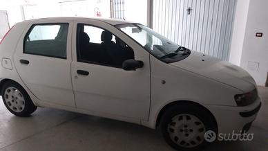fiat punto