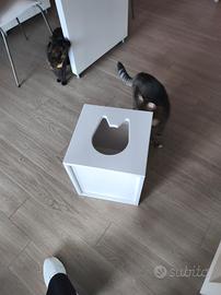 Ikea cuccia x gatti 33x33 