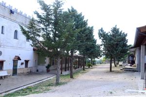 AMPIA TENUTA