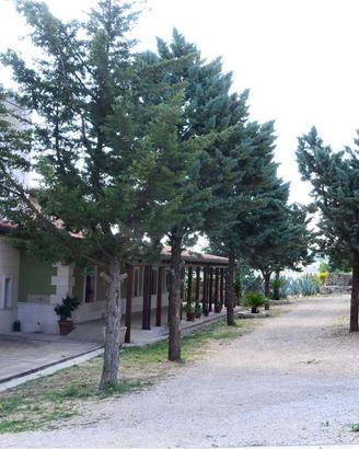 AMPIA TENUTA