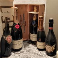 Lotto H Champagne Moet Chandon 5 bottiglie Brut