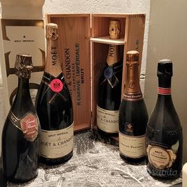 Lotto H Champagne Moet Chandon 5 bottiglie Brut
