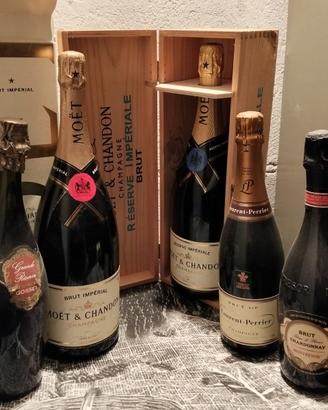 Lotto H Champagne Moet Chandon 5 bottiglie Brut