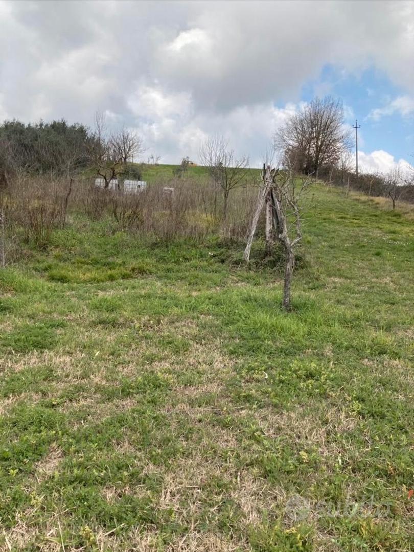 Terreno agricolo - Vista 2