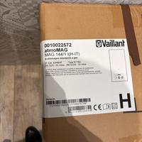 Scaldabagno vaillant