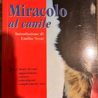 Volontari amici, Miracolo al canile