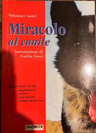 Volontari amici, Miracolo al canile