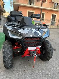 Buggy quad e mini cross