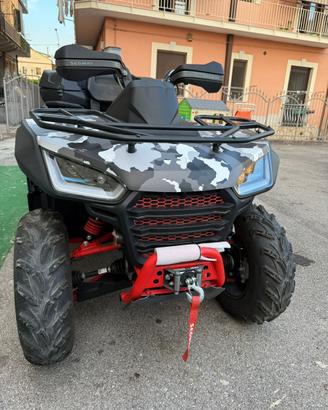 Buggy quad e mini cross