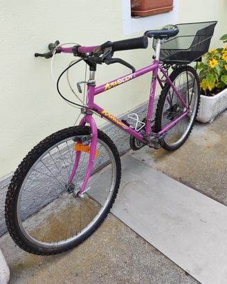 bicicletta mtb
