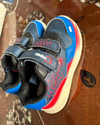 Scarpe Primigi
