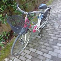 Bicicletta vintage