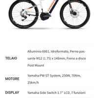 ebike 