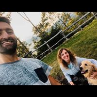 Dog Sitter
