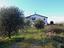 Immagine 10