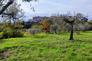 Terreno edificabile a Lugnano in Teverina