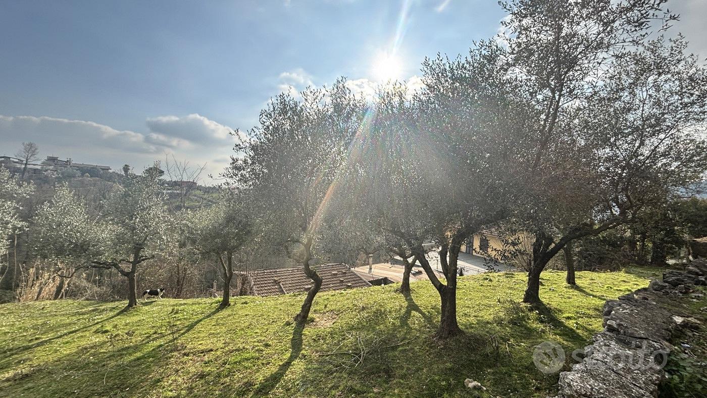 Rustico/Casale/Corte Alatri [Cod. rif 3297841VRG] - Vista 5