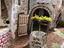 Immagine 3
