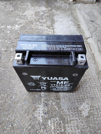 Batteria yuasa ytx16-bs