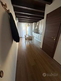 A/1167 arredato per brevi periodi