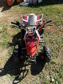 Mini quad