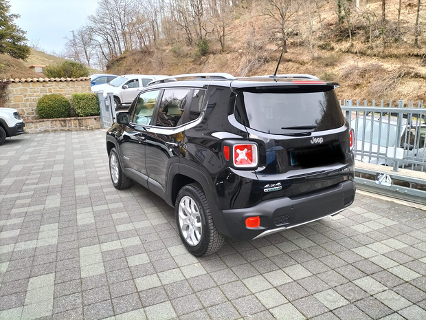 Jeep Renegade 4wd