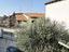 Immagine 29