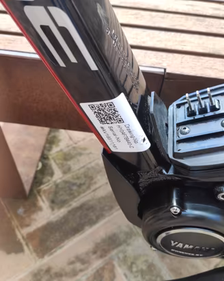 mountain bike elettrica