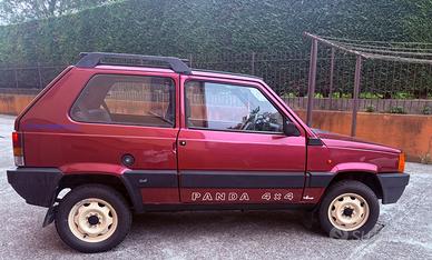 Panda 4x4 motore 1100 Fire