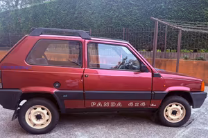 Panda 4x4 motore 1100 Fire