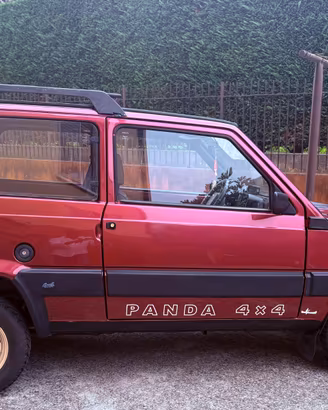 Panda 4x4 motore 1100 Fire