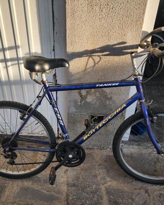 mountain bike da uomo