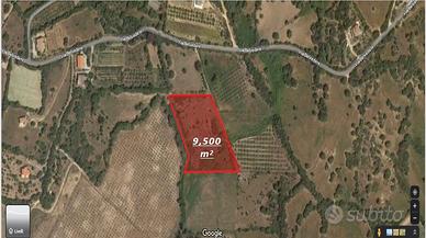 Terreno Agricolo (loc. Fragori)