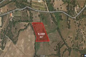 Terreno Agricolo (loc. Fragori)