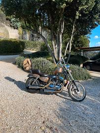 Chopper harley davidson sportster 1200 C