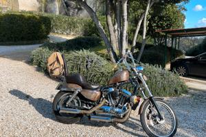 Chopper harley davidson sportster 1200 C