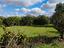 Immagine 12