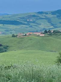 Terreno agricolo di 60 ha
