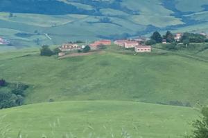 Terreno agricolo di 60 ha